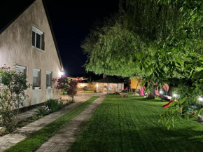 Linett Apartman